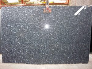 Labrador bleu HQ 2102